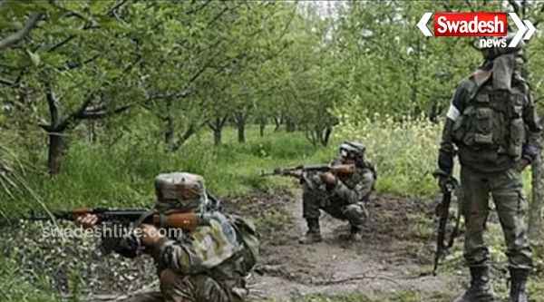 Encounter between security forces and Naxalites in Pedia forest, news of 8 killed including top commander