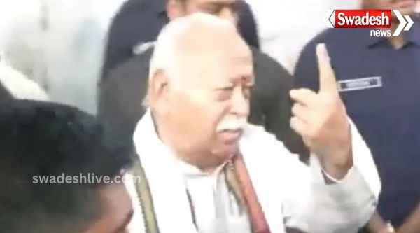 RSS chief Mohan Bhagwat, Congress leader P Chidambaram and these stalwarts also cast their votes, know what they said