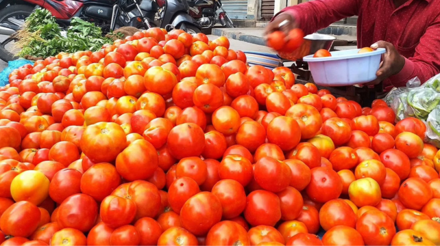 Tomatoes disappeared from the plate, know why the prices of tomatoes reached the sky