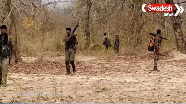 Security forces get big success on Narayanpur-Kanker border of Chhattisgarh, 7 Naxalites killed, search operation continues