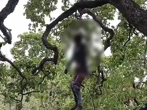 Suicide by killing girlfriend, body of minor found hanging in forest